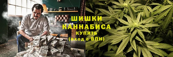 дмт Алзамай