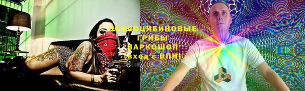 дмт Алзамай