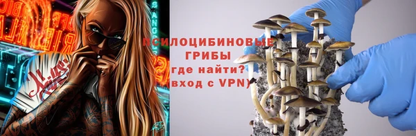 a pvp Нея