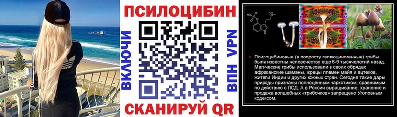 KRAKEN вход  Николаевск  Галлюциногенные грибы MAGIC MUSHROOMS 